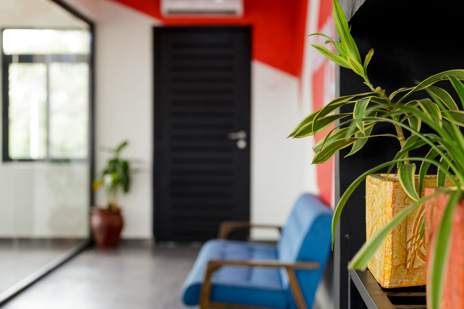 AFG - The bench seating and black door seen across the lounge, a plant on the shelving picking up the red of the wall.