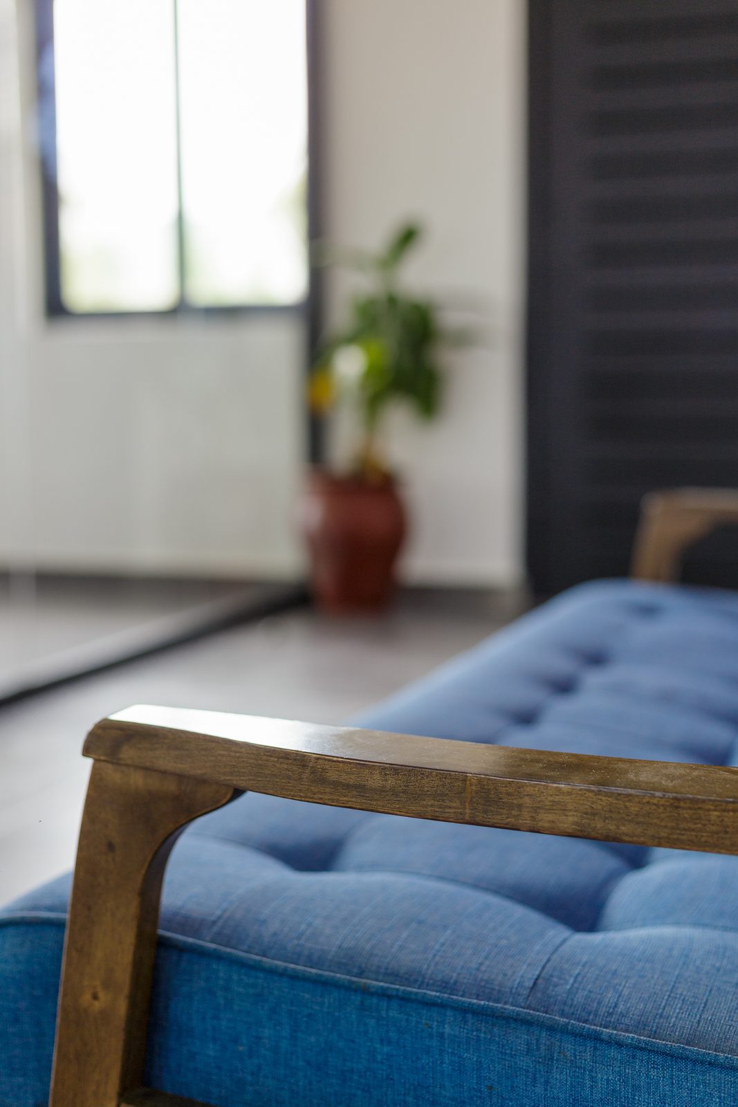 AFG - Detail of the lounge seating: the timber arm and tufted blue cushion of a bespoke sofa, a potted plant soft-focused beyond.