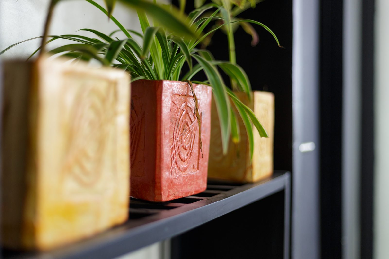AFG - Detail of the bespoke industrial design: carved red and ochre concrete planters on black open shelving.