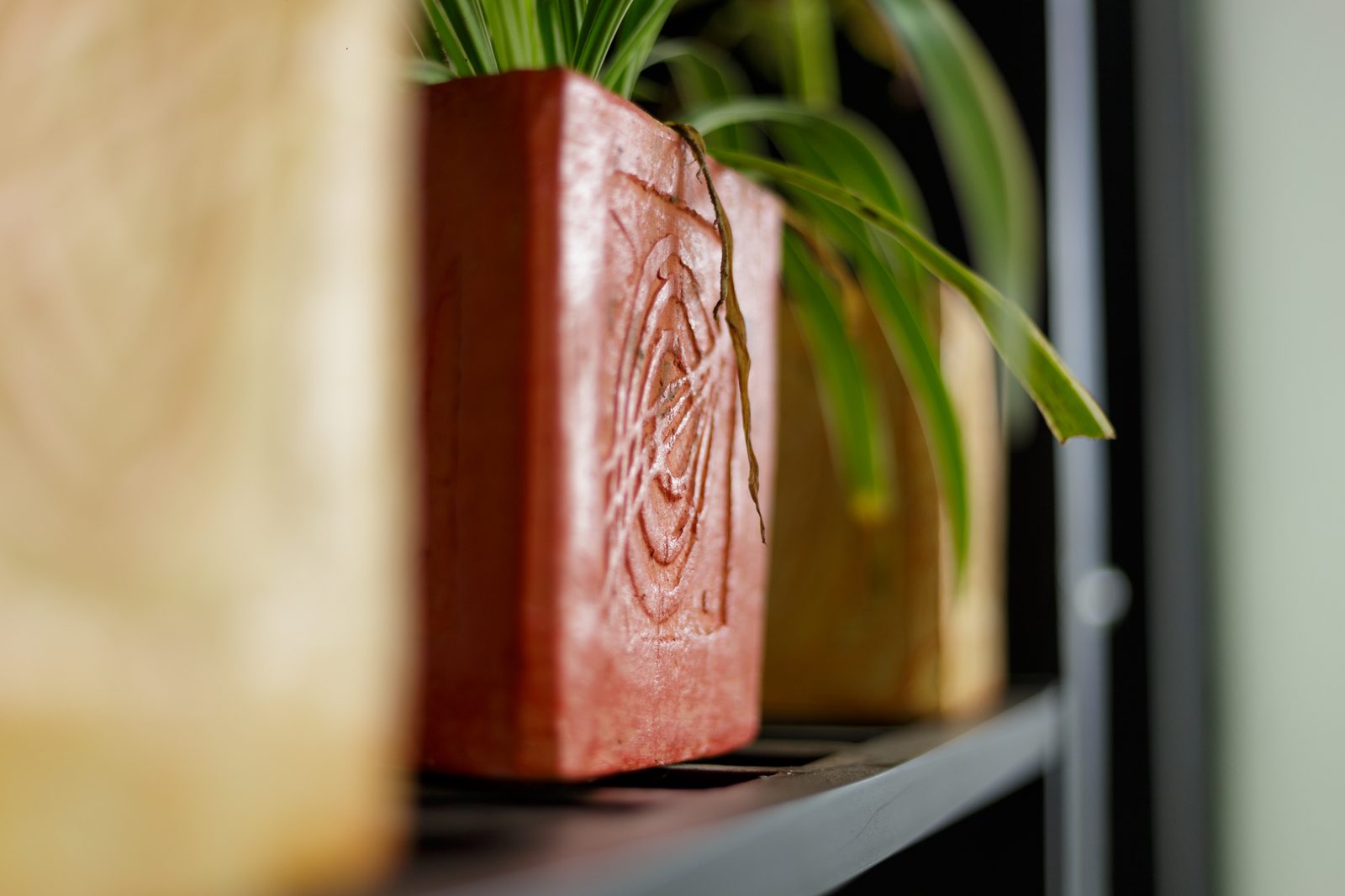 AFG - A closer crop of the carved planters with trailing plants, the edge of a desk in the foreground.