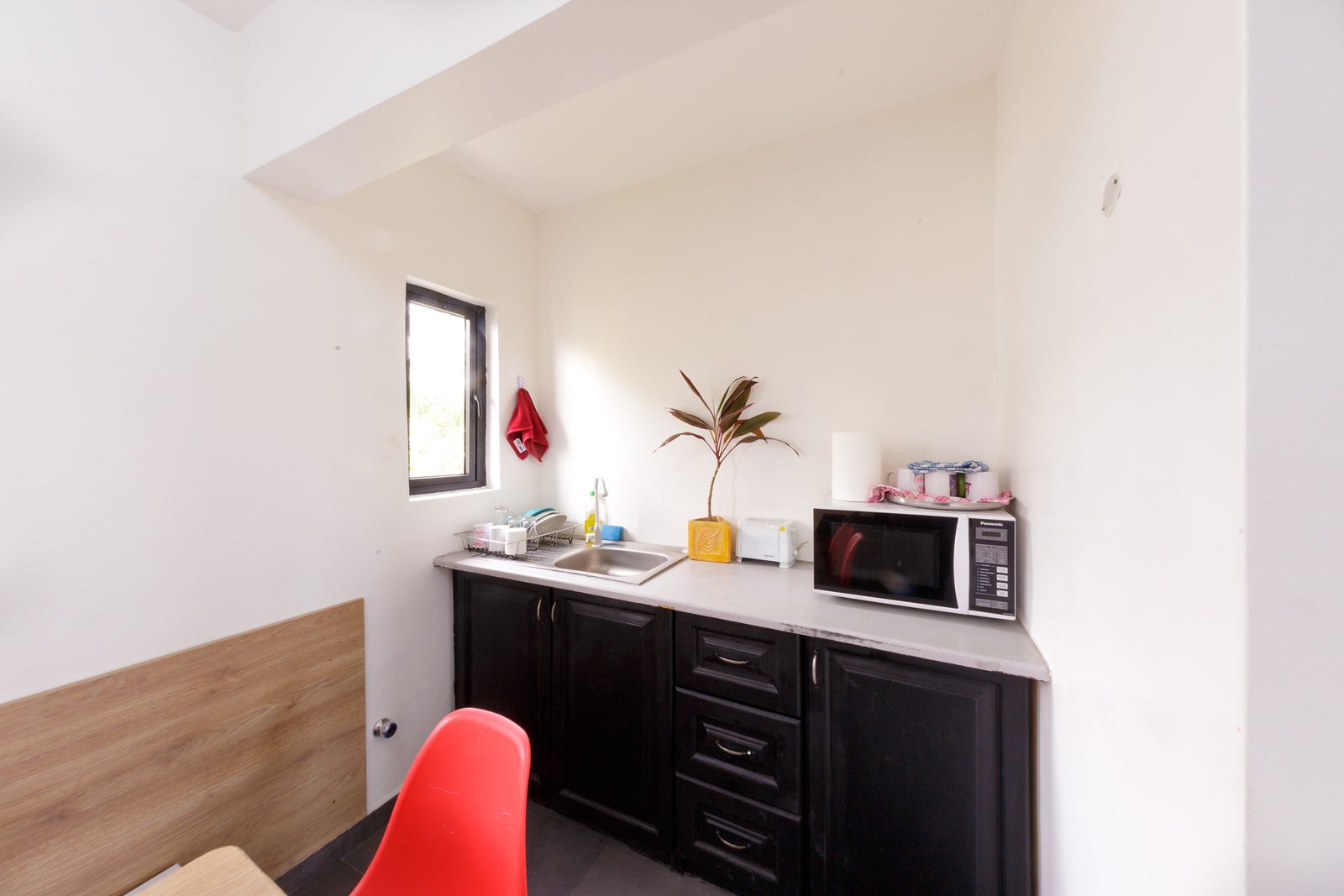 AFG - A corner of the pantry counter with its small window, a plant and the flat black cabinet fronts.