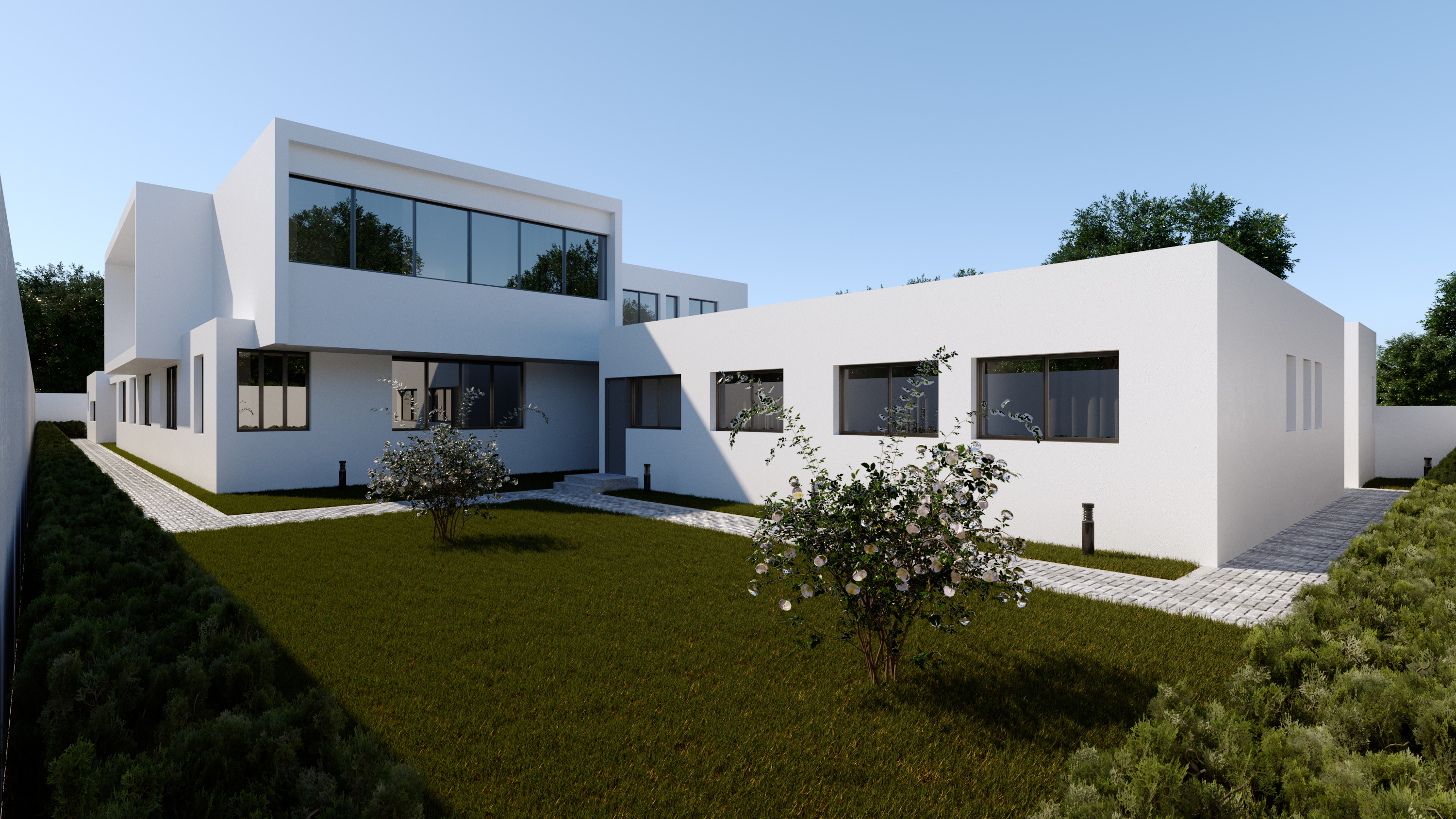 Side court with lawn and two flowering trees between white rendered walls, paved walks either side
