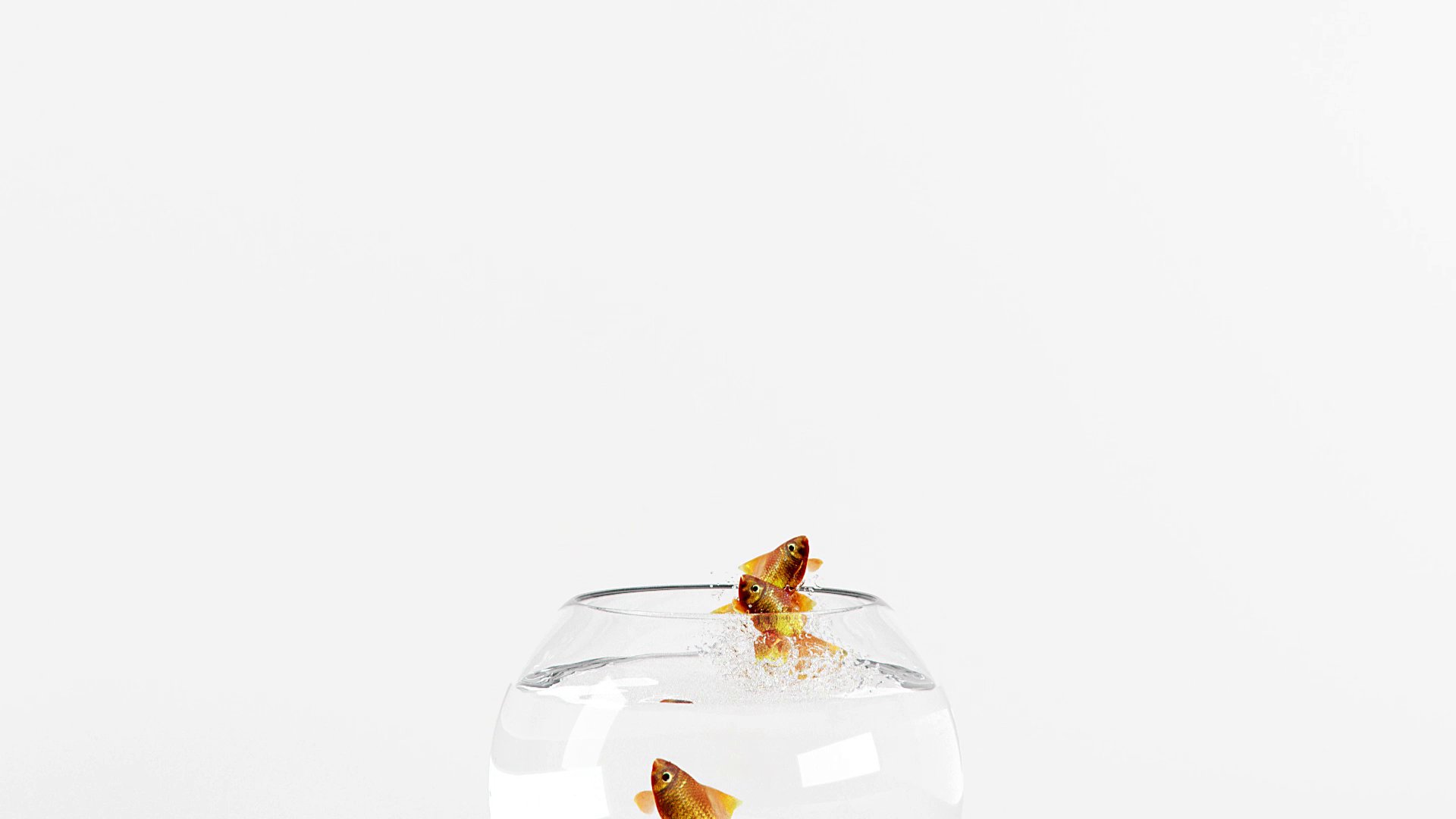 Emerge Co. Ltd Showreel — first goldfish clearing the rim