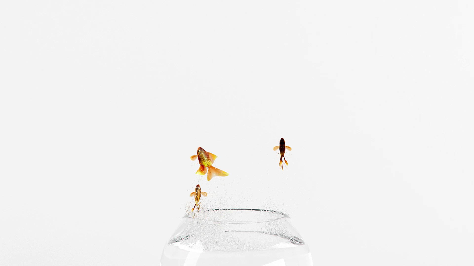 Emerge Co. Ltd Showreel — three fish in the air above the bowl