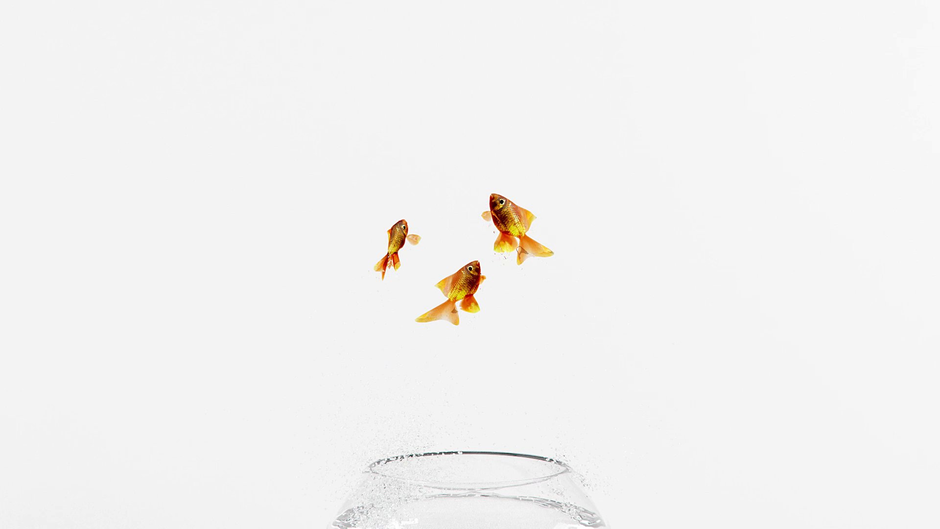 Emerge Co. Ltd Showreel — fish falling back toward the rim