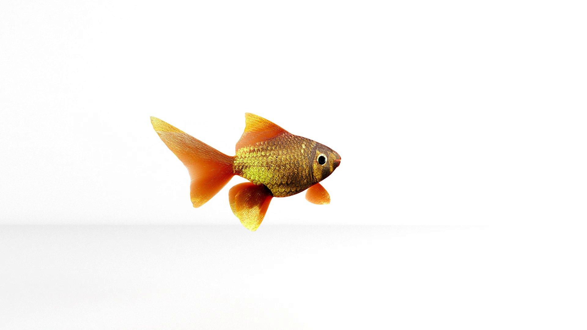 Emerge Co. Ltd Showreel — a single goldfish suspended mid-air against white