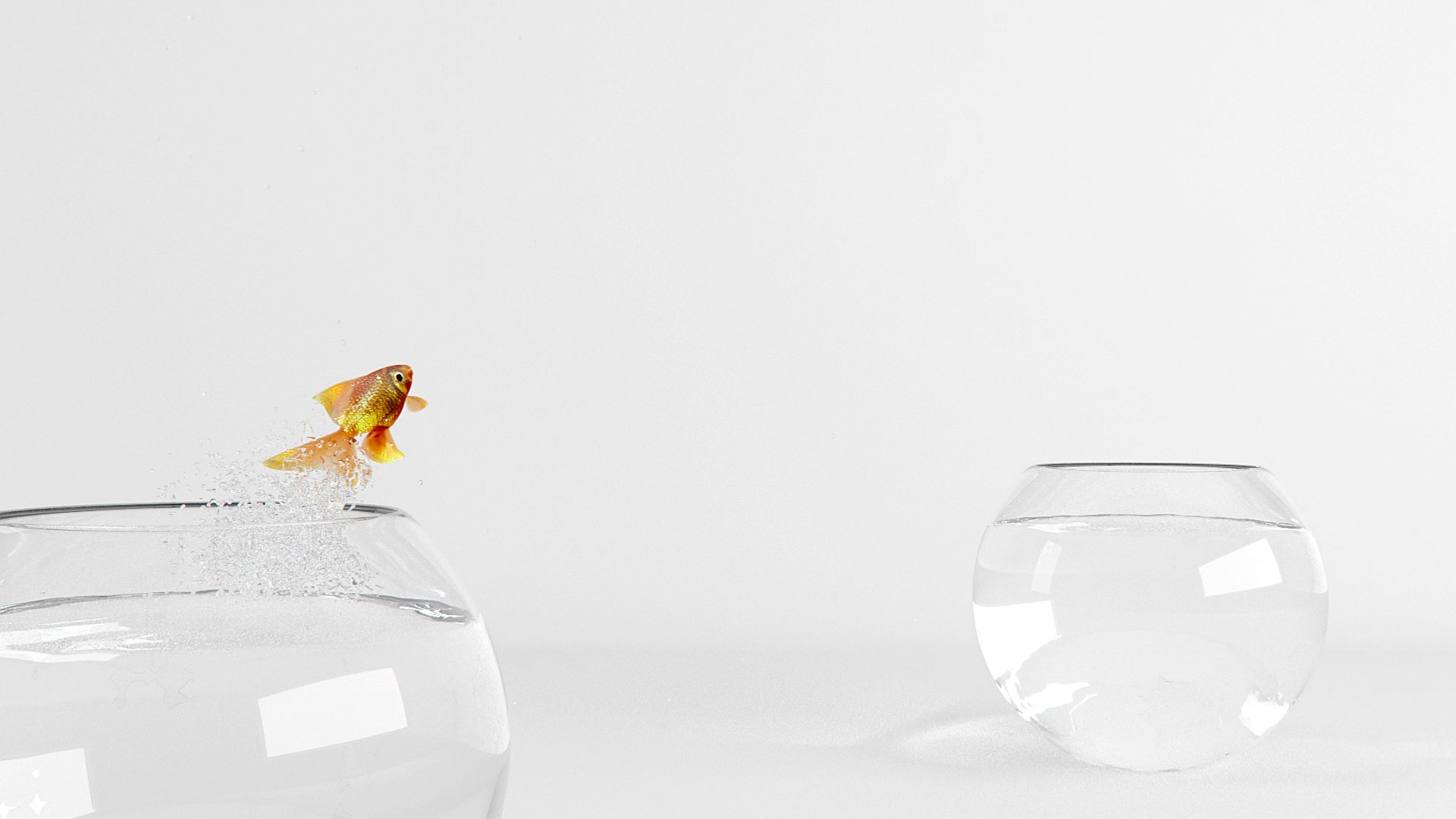 Emerge Co. Ltd Showreel — fish dropping toward the waterline