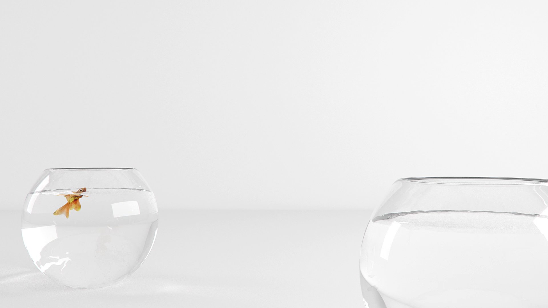Emerge Co. Ltd Showreel — Production list, fish inside the smaller bowl