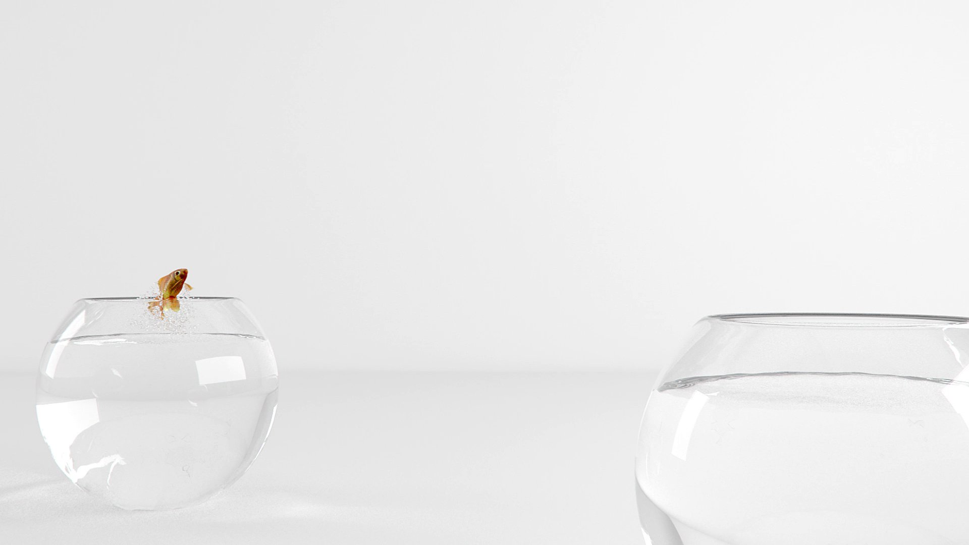 Emerge Co. Ltd Showreel — two bowls, a fish balanced on the rim
