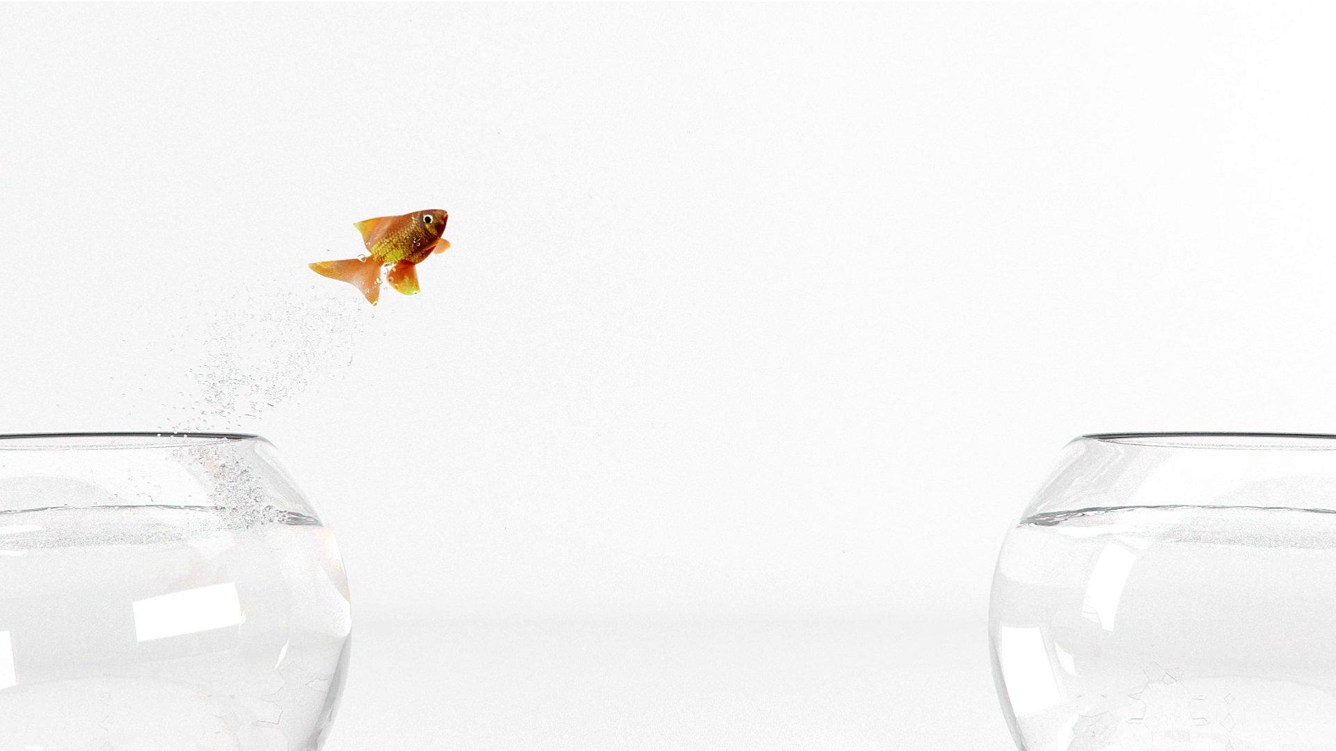 Emerge Co. Ltd Showreel — fish arcing out of frame with a trail of spray