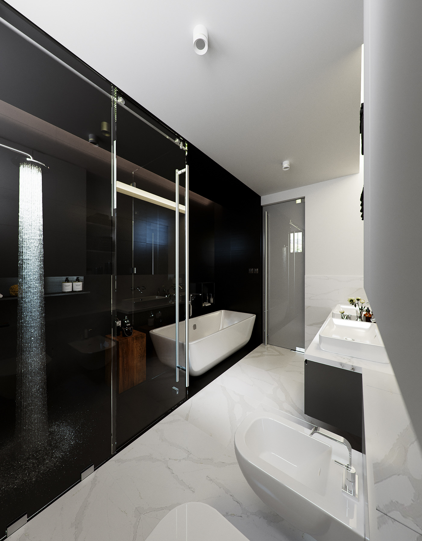 Funko Ridge Residence bathroom from the vanity: rain shower running behind glass against the black wall, freestanding tub beyond, white basins and bidet along the marble-look counter.