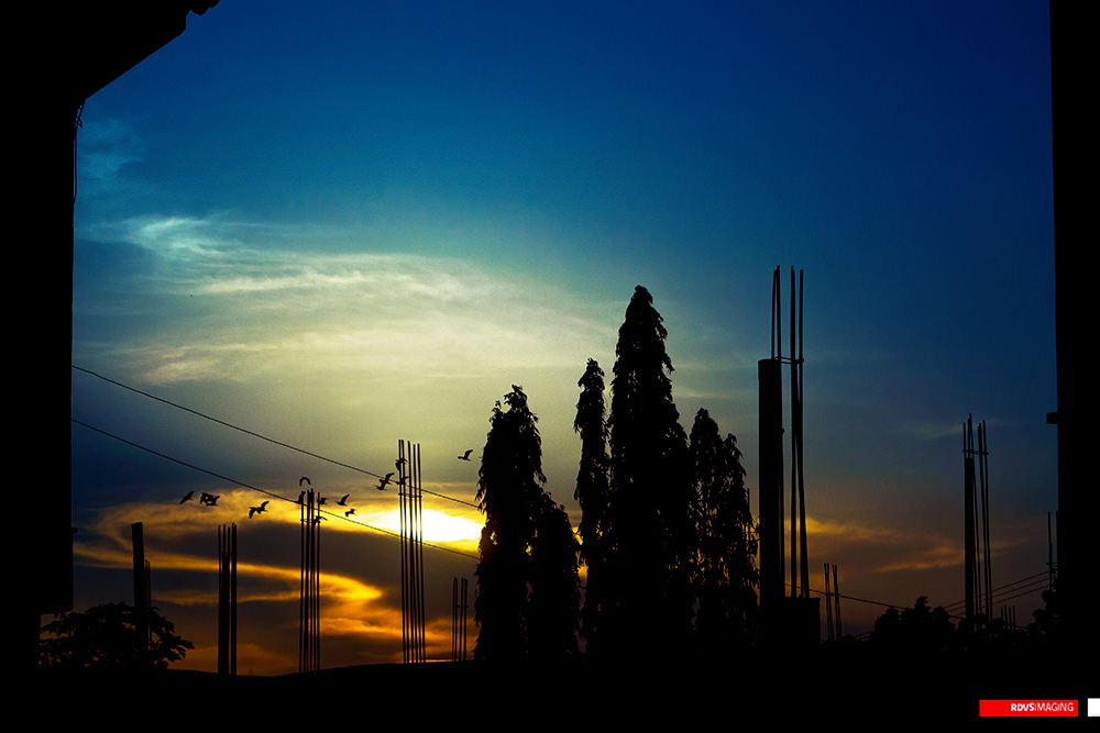 The same skyline minutes before the sun is gone, with a bright yellow-white band of sky along the horizon and heavy blue above. The sun itself is half swallowed by a low bank of cloud. A flock of small birds is strung along the cables at the left, some in flight and some settled, and two more cross the open sky near the centre. Four or five rebar-crowned concrete prods of different heights stand along the black roofline, a tight group of tall conical trees fills the middle of the frame, and a further prod cluster sits at the right. The dark underside of an eave cuts in at the top-left corner and the edge of a wall closes the right side. Red RDVSIMAGING badge, bottom right.