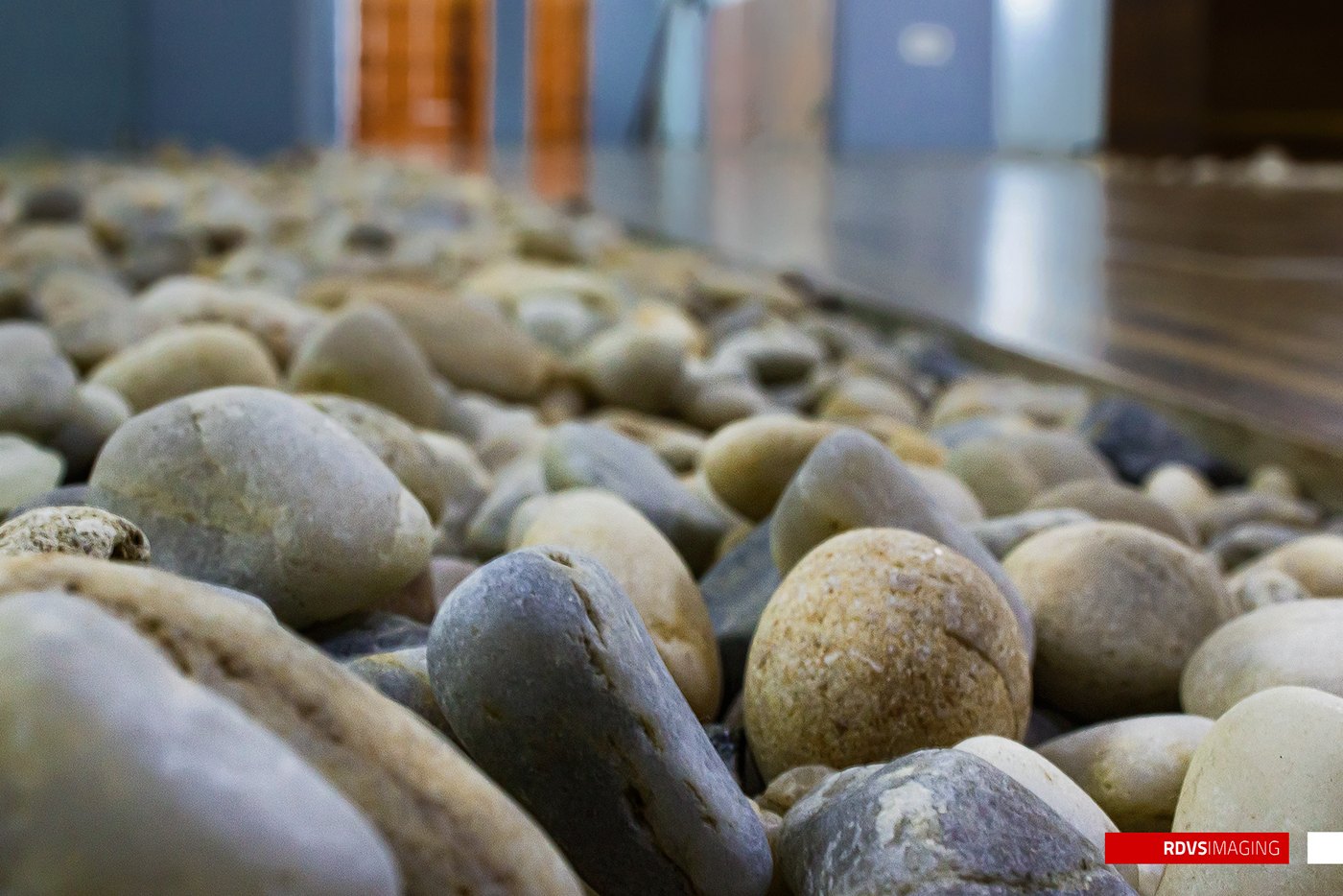 Photograph, close detail of the pebble border beside the timber floor: smooth white and grey river stones in shallow focus, the office blurred behind, RDVS MAGAZINE mark in the lower right corner.